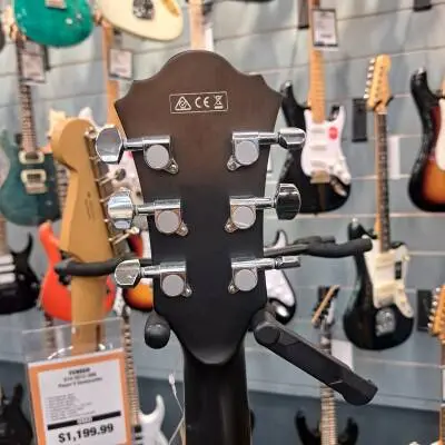 Ibanez - AF55TKF 2